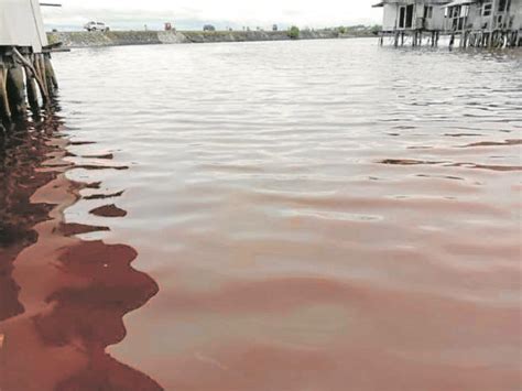red tide alert philippines|RED.